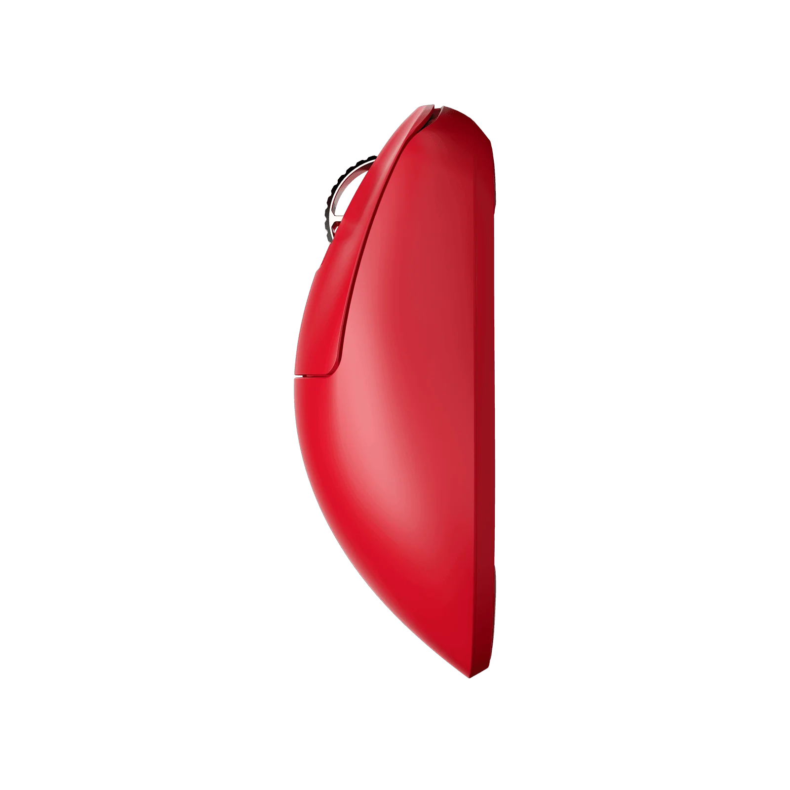 [Red Edition] Xlite v3 eS Medium Gaming Mouse - Image 4